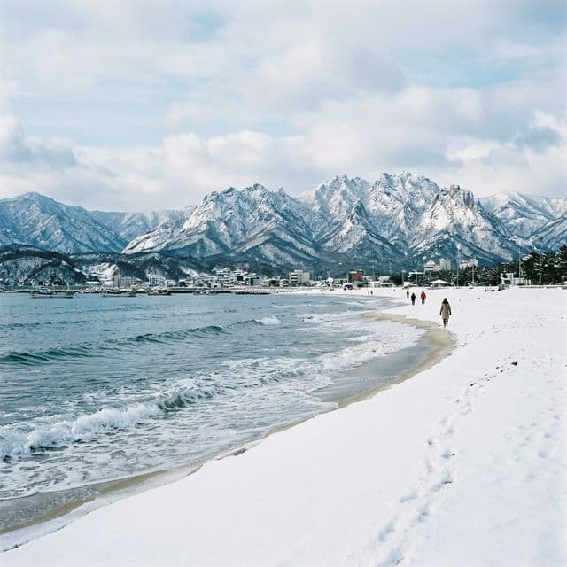 Sokcho in Winter: A Complete Guide to the Snowy Coast