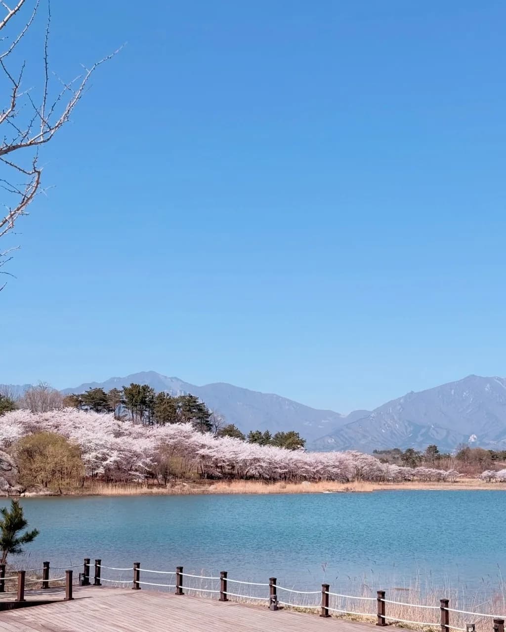 Yeongnangho Lake