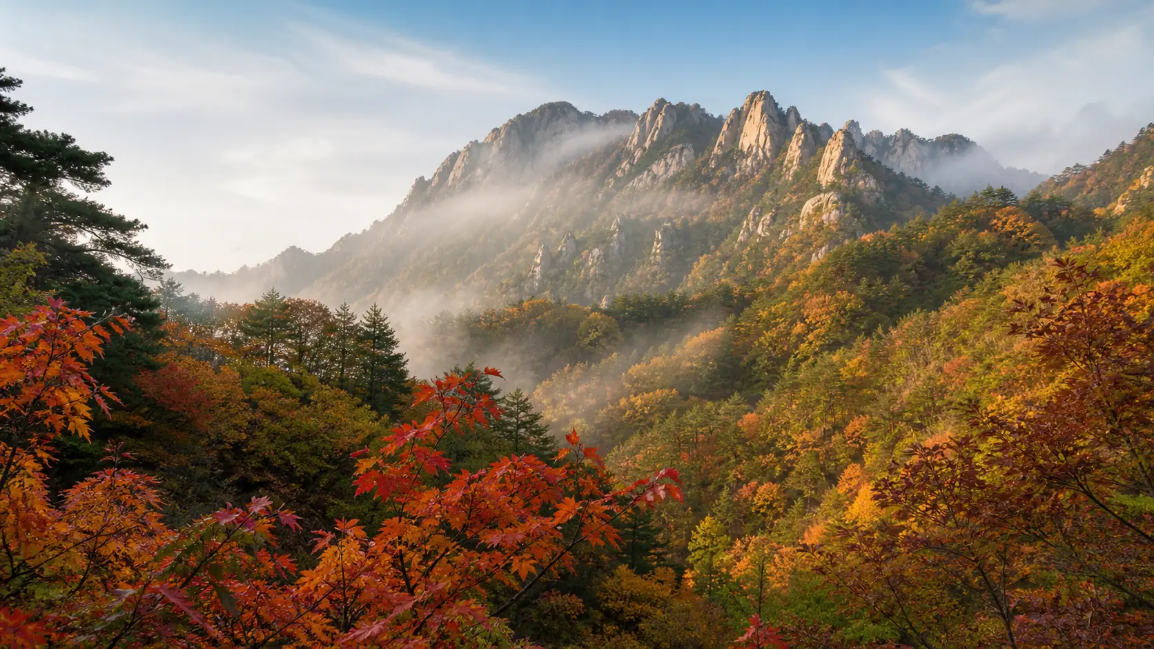Seoraksan Fall Foliage 2026: Forecast & Peak Dates