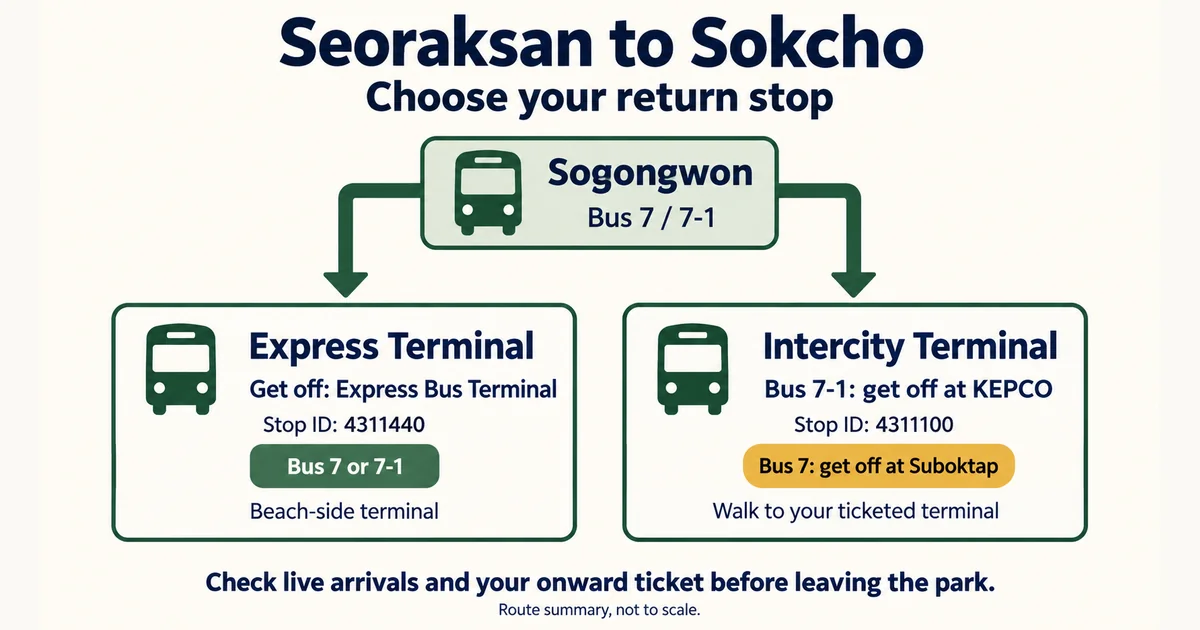 AI-generated diagram of Seoraksan return buses to Sokcho Express Terminal and Intercity Terminal stops